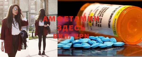 шишки Беломорск