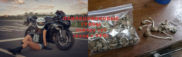 шишки Беломорск