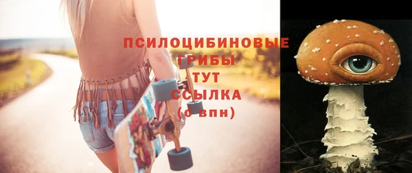 прущий лед Белокуриха