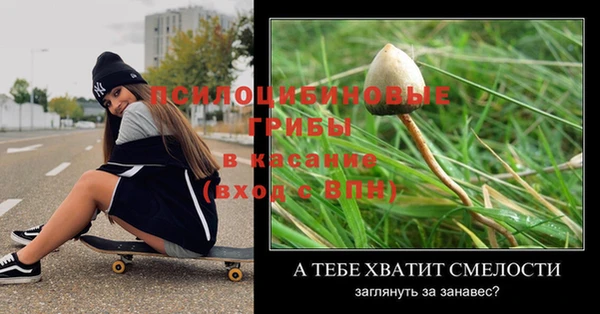 шишки Беломорск