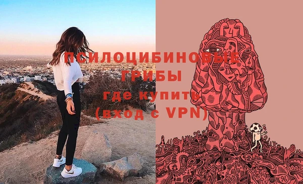 шишки Беломорск