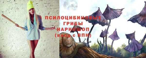 шишки Беломорск