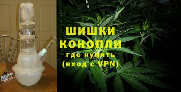 шишки Беломорск