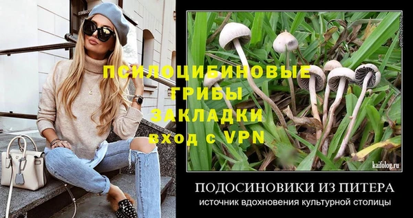 молекула духа Белоозёрский