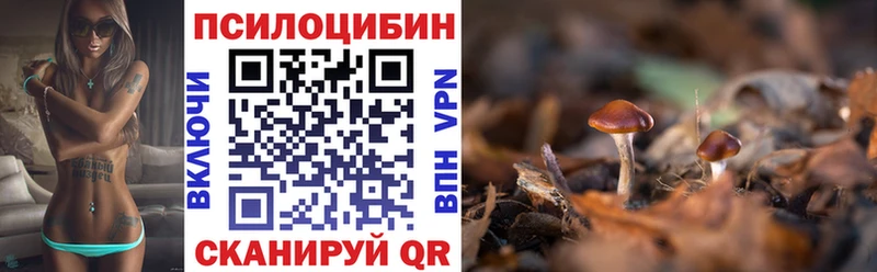 Псилоцибиновые грибы Magic Shrooms  MEGA ссылки  Кола 